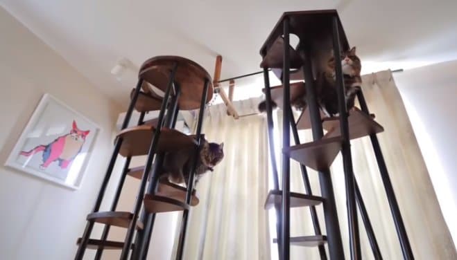 くう君が驚いたキャットタワー。写真右が今回新たに作ったもの（YouTubeより）