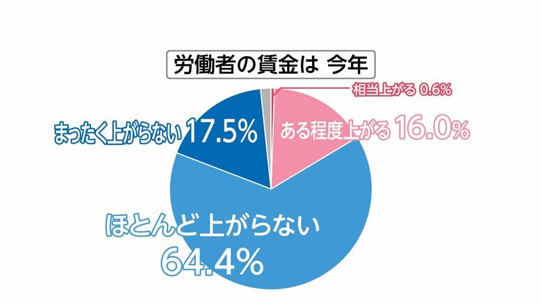 

1月のFNN世論調査では賃上げに期待を持つ人は2割に満たなかった

1月のFNN世論調査では賃上げに期待を持つ人は2割に満たなかった