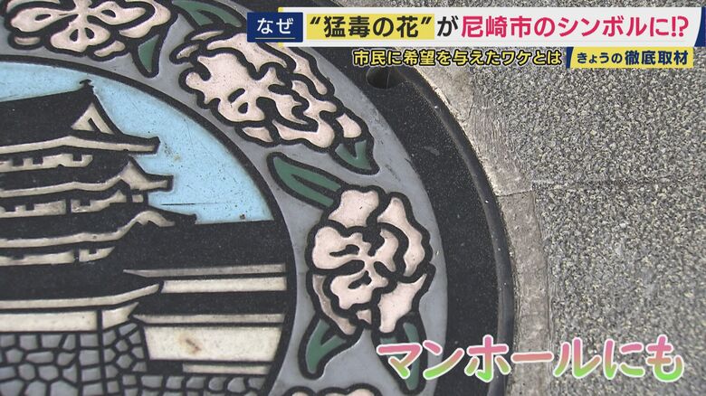 尼崎市では「市の花」に指定