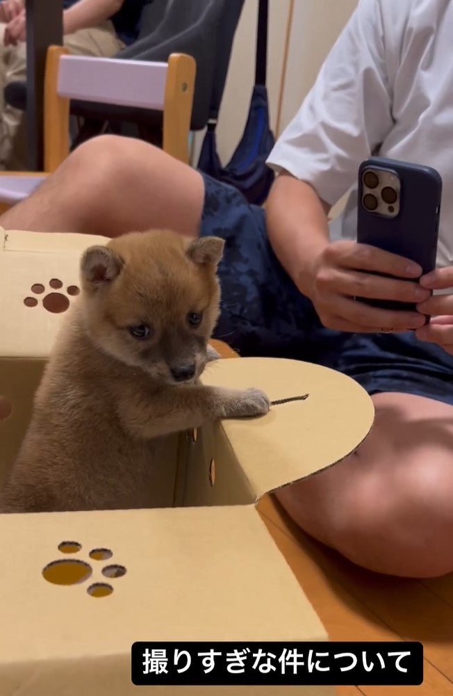 こちらはSakuraママの旦那さん。ソラちゃんをスマホで連写