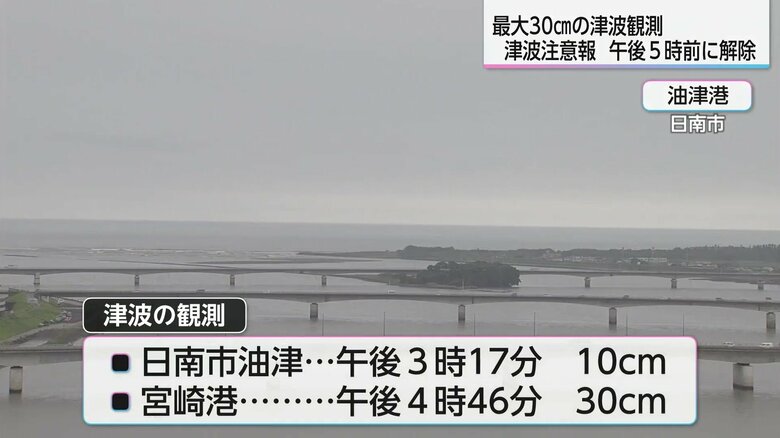 観測された津波の高さ