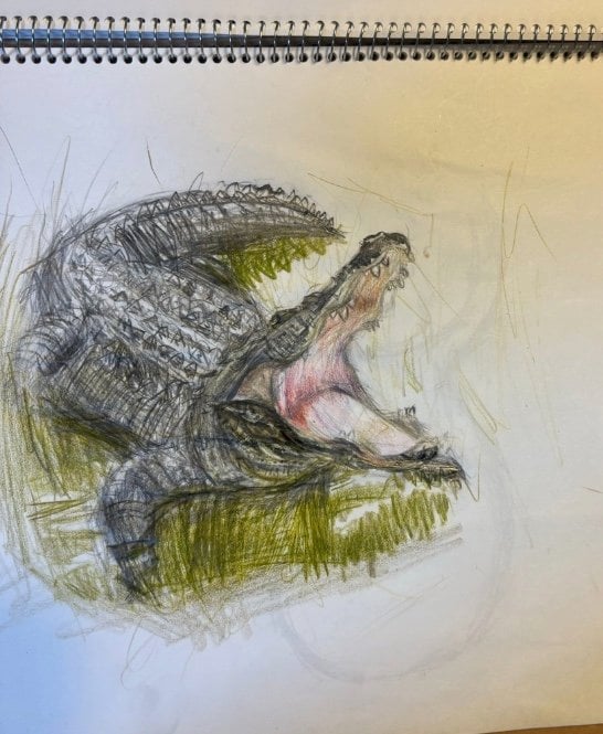 提供：櫻井京太郎さん