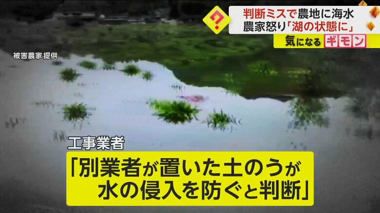農家が提供した被害のあった農地の様子