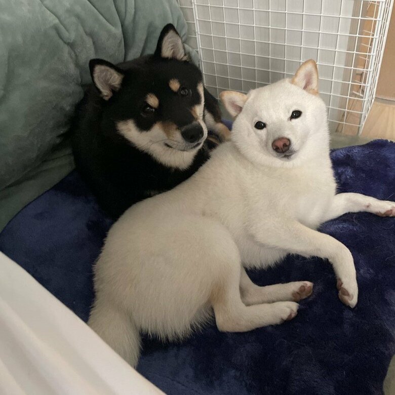 蓮くんとまったり