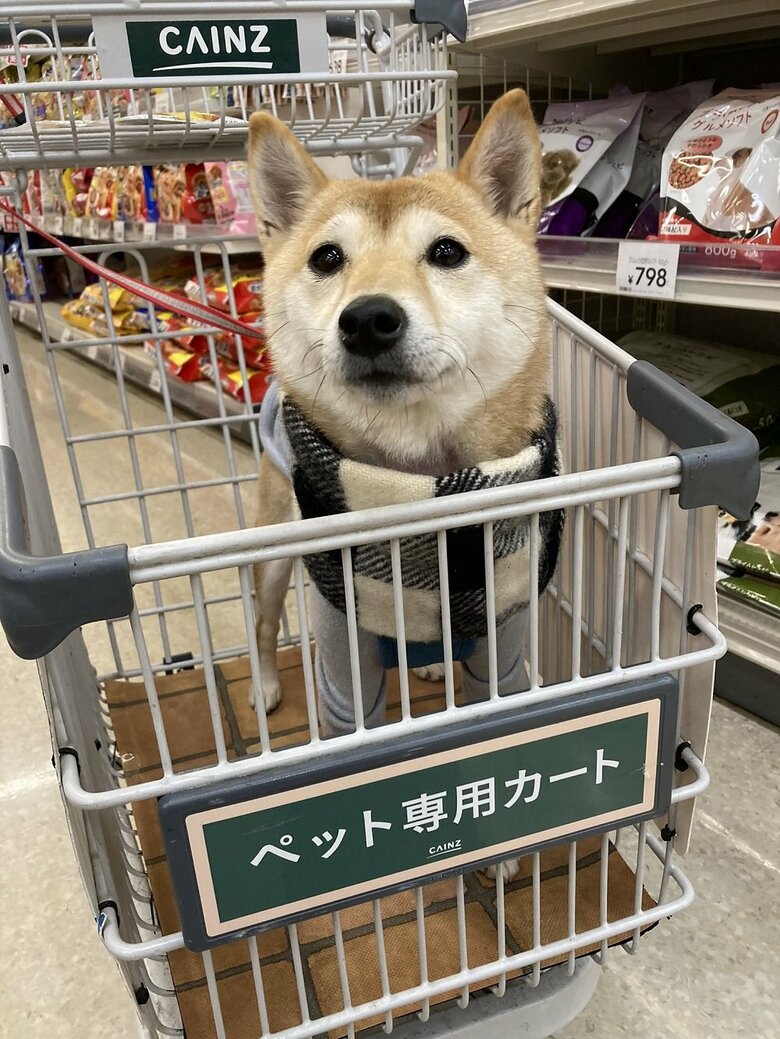 おやつを買いに来ました！