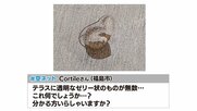 あなたの庭にも落ちてない？　無数の“透明なゼリー状の物体”がテラスに　その正体は…卵かも