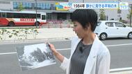 ４２年前のこの写真、どこで撮られた？　平和の大切さと命の尊さを伝え続ける被爆エノキとは　広島市中区