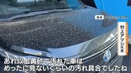 【異例】東京20℃超の小春日和で異変…季節外れの黄砂到来も 黄砂の後は「冬将軍」年末の寒さに