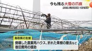 鳥取県が緊急対応　大雪による農業被害などに「災害復興調整費」1億円発動（鳥取）