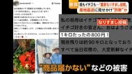 “農家なりすましSNS”に注意　「投稿にだまされた」本人に詐欺被害訴える苦情も　専門家が語る“産地直送詐欺”の手口