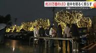 20万個のLEDが冬の街を彩る　並木道を光で包む「シャイニングストリート」始まる　秋田・大館市