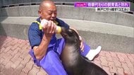 桂浜水族館の“アイドルアシカ”旅立ちの時… 難産の末、前例の少ない人工哺育　飼育員との“親子の絆”