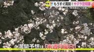 お花見のベストなタイミングは今週末！満開予想は3月30日【佐賀県】