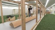 BBTパークで元気に遊ぶ子どもに両親が驚きの声 全長36メートルの大型遊具が人気　