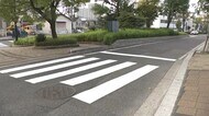小学生の女の子（１１）をひき逃げしたか　タクシー運転手の男（…