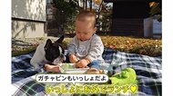 【ガチャピンといっしょ】英翔くん（1歳）