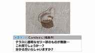 あなたの庭にも落ちてない？　無数の“透明なゼリー状の物体”がテラスに　その正体は…卵かも