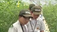 高校生が農作業中の“熱中症予防”を呼びかけ「自分は大丈夫と思わないで」　新潟県内2日連続で警戒アラート発表