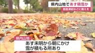 県内山地で19日未明から朝にかけ積雪か 路面凍結などに備えを【佐賀県】