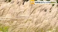 【天気コーナー】山間部の秋深まる…ゲレンデで輝く「ススキ」15日の山陰は「秋晴れ期待」