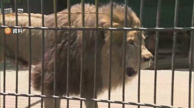 ライオンとの間の鉄格子を開け作業…53歳飼育員が襲われ死亡　監視役の従業員、悲鳴まで異変に気付かず　福島「東北サファリパーク」