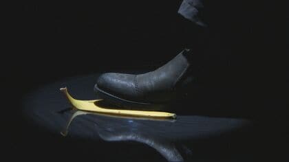 大量のバナナの皮で大型船を海まで滑らせた事例も…イグノーベル賞受賞者がひも解く“バナナの皮が滑るメカニズム”