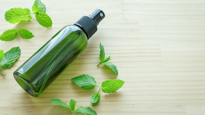 ハッカ油は乾燥対策や掃除にも活躍！製造メーカーの社員が実践する“虫よけ”だけにとどまらない活用法