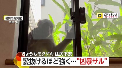 「髪抜けるほど強く引っ張られ…」人を襲う“凶暴ザル” …民家侵入未遂も　出没止まらず住民恐怖の日々　福岡市