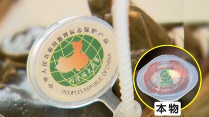 【独自】「違います！違います！」中国で深刻化する上海蟹の“産地偽装”の実態…偽タグを付ける悪質手口の瞬間