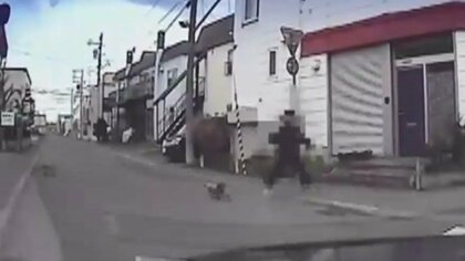 【独自】犬を散歩中の女性が悲鳴上げ猛ダッシュ 住宅街でキツネに襲われ…救ったドライバー「鬼気迫る光景初めて」