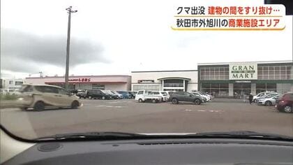 商業施設の駐車場にクマ、店は緊急アナウンスで警戒呼びかけ　にぎわう買い物エリアに出没　秋田市