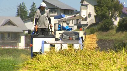 コメ不足に対応すべく『魚沼産コシヒカリ』の収穫“前倒し” 新米価格高騰に消費者困惑も「新潟米を喜んで食べて」