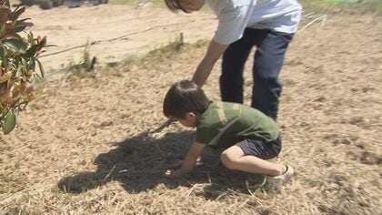 「ピンクのバッタを見つけたよ！」3歳の小さな虫取り名人が大発見　将来の夢を聞くと意外な答えが…【島根発】