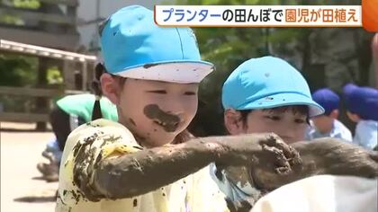 プランターが田んぼに！園児たちが“田植え”に挑戦「大きくなってほしい」　秋には稲刈りを体験予定