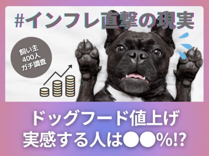 【飼い主400人に調査】約●割がドッグフードの値上がりを実感！でも「変えない」人が多いワケとは？