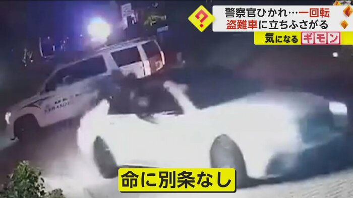 (画像:Sarasota Police Department)