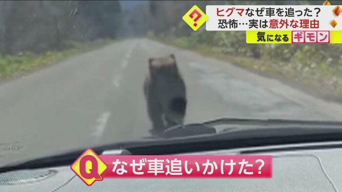 (視聴者撮影)