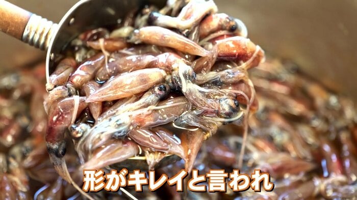 秘伝のたれに…ホタルイカの沖漬け