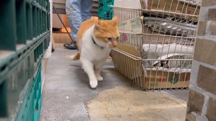 閉店前のパトロール
