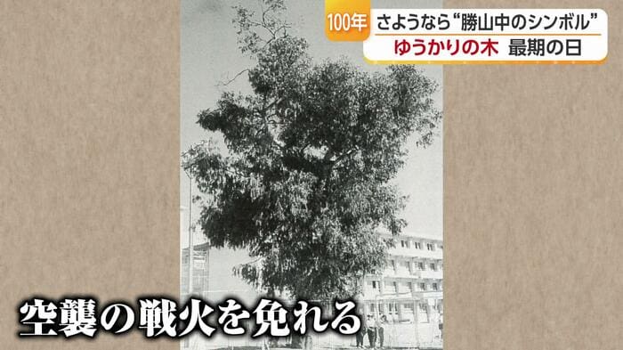 松山空襲の中、生き延びた「ゆうかり」