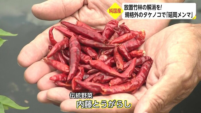 伝統野菜「内藤とうがらし」。粉末が使われ、ピリ辛の「延岡メンマ」に使用される