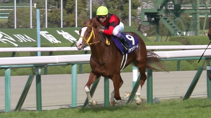 大阪杯を制したジャックドール