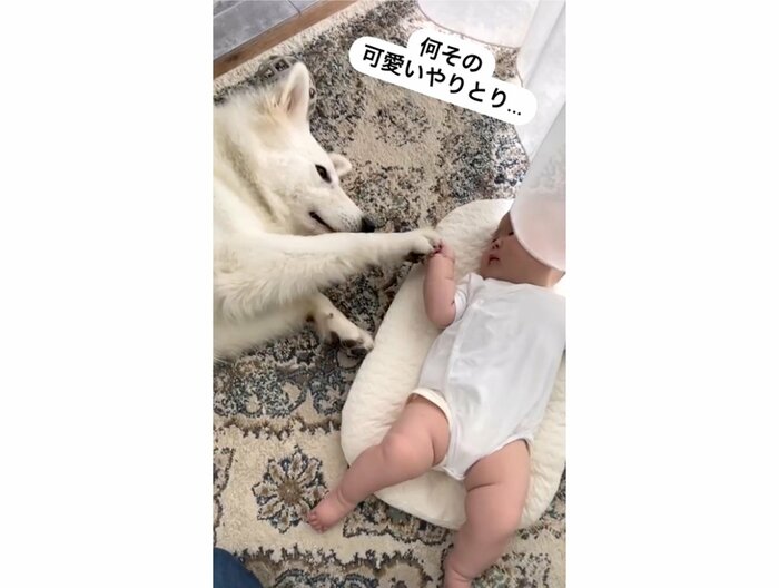 提供:つくしとすずらんさん