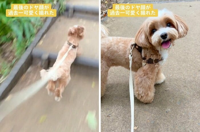階段ダッシュからの“ドヤ顔”!