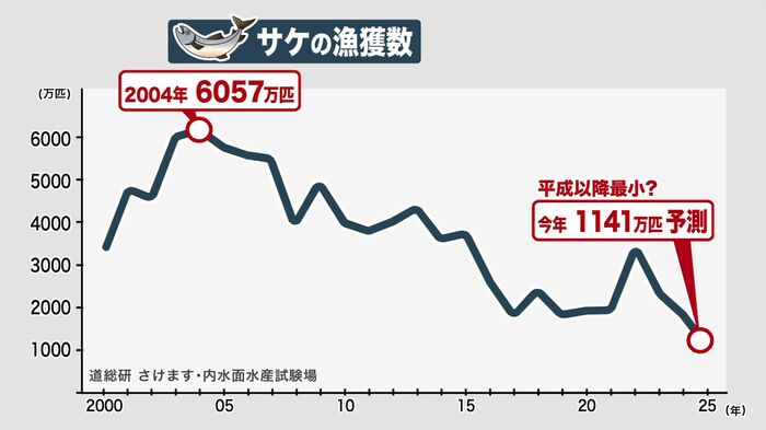 サケの水揚げは20年前と比べると5分の1に