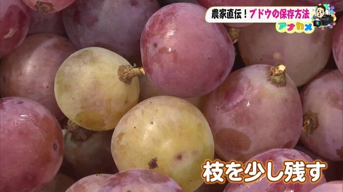 枝を少し残す