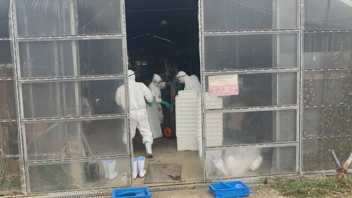 6月 上越市の養鶏場で鳥インフル確認(提供:新潟県)