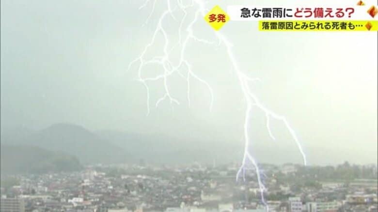 急な雷雨どう備える？　気象台に聞いた避難ポイント「音聞こえたらすぐ避難」　落雷原因とみられる死者も…【山形発】｜FNNプライムオンライン