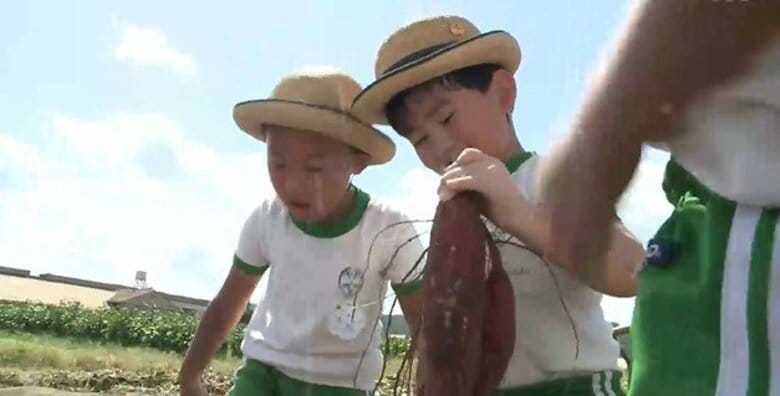 幼稚園児がサツマイモ掘りを体験　「焼きイモにしてパパと食べる」　広島・福山市｜FNNプライムオンライン