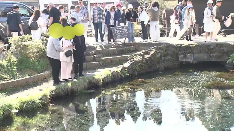 忍野八海の池に“投げ銭”する外国人観光客「願い事のため」　勘違いが広がり大量のコイン沈む　“賽銭箱”見立てた回収箱で世界遺産をきれいに｜FNNプライムオンライン